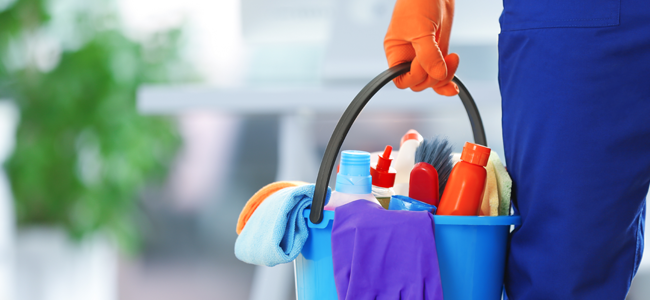 Domestic Worker Available