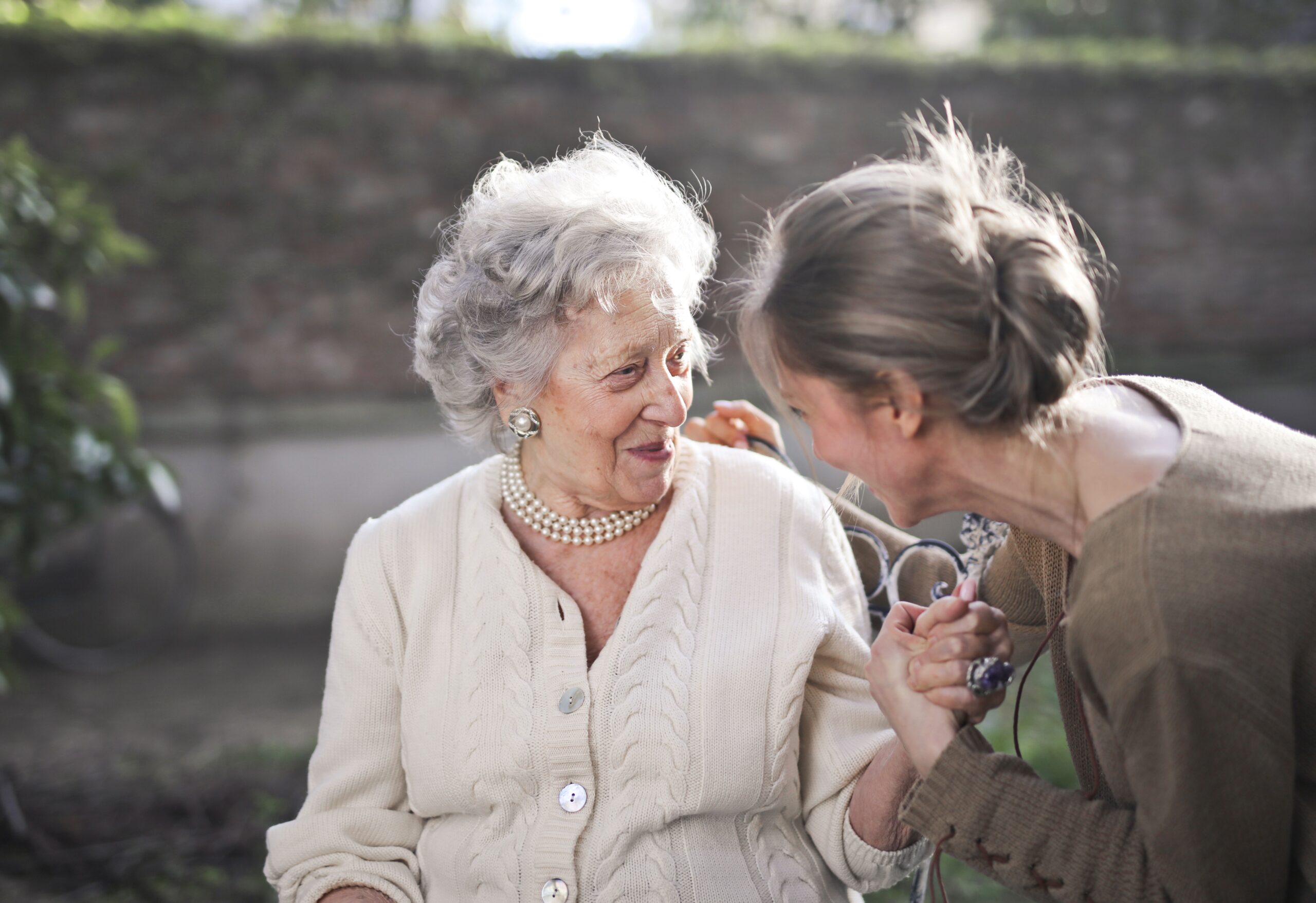 Friendly Elderly Care